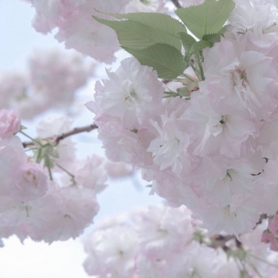 钟山FurryQQ群介绍